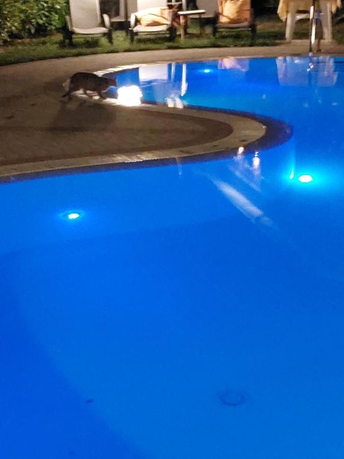 Alba Residence Sirmione Kültér fotó